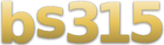 bs315 logo
